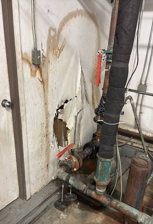 Plumbing and wall damage