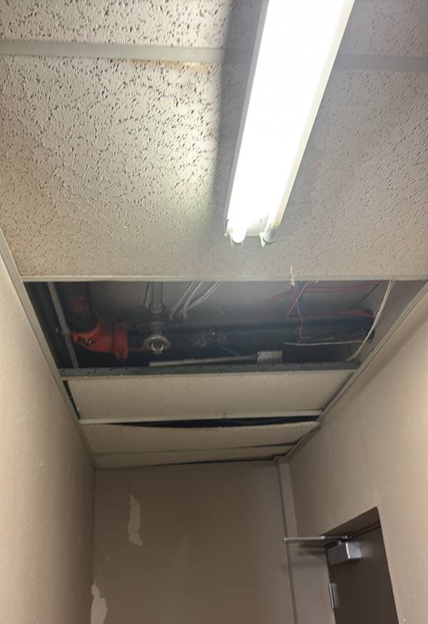 Ceiling and fire suppression