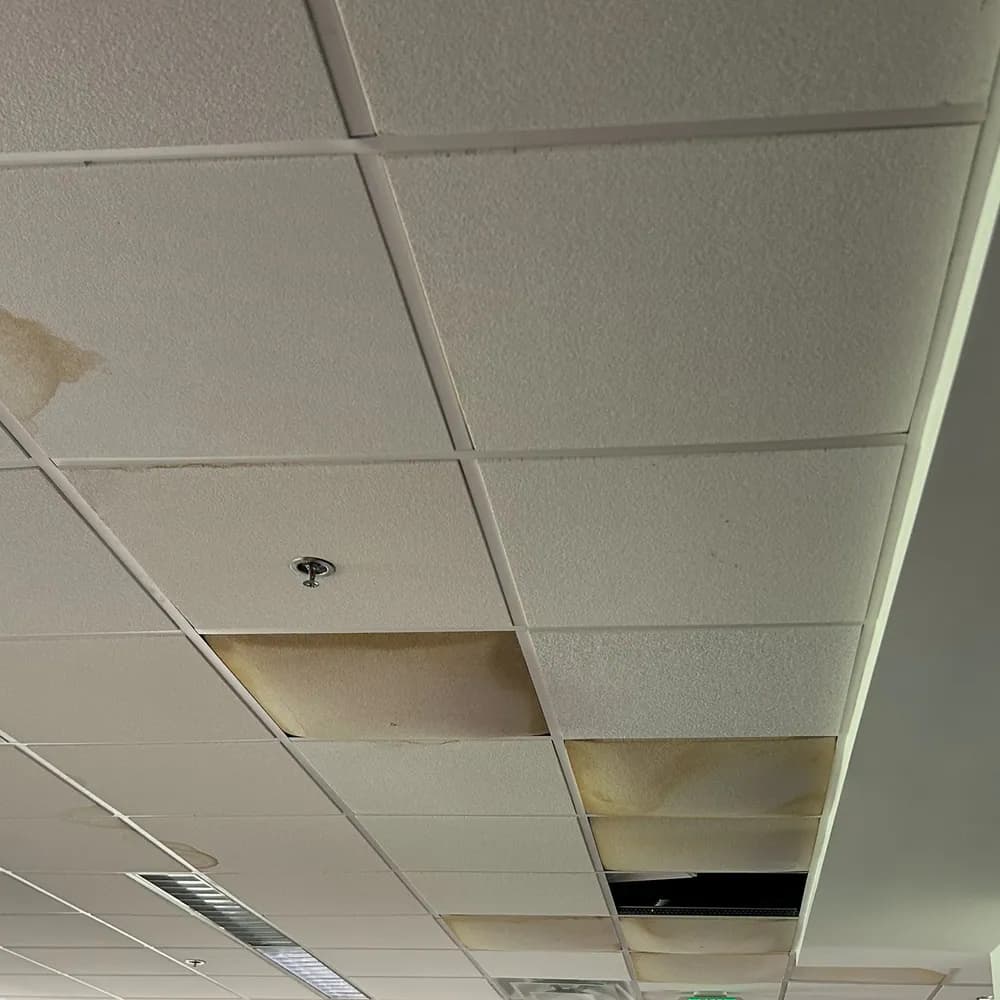 Ceiling tiles in a commercial interior