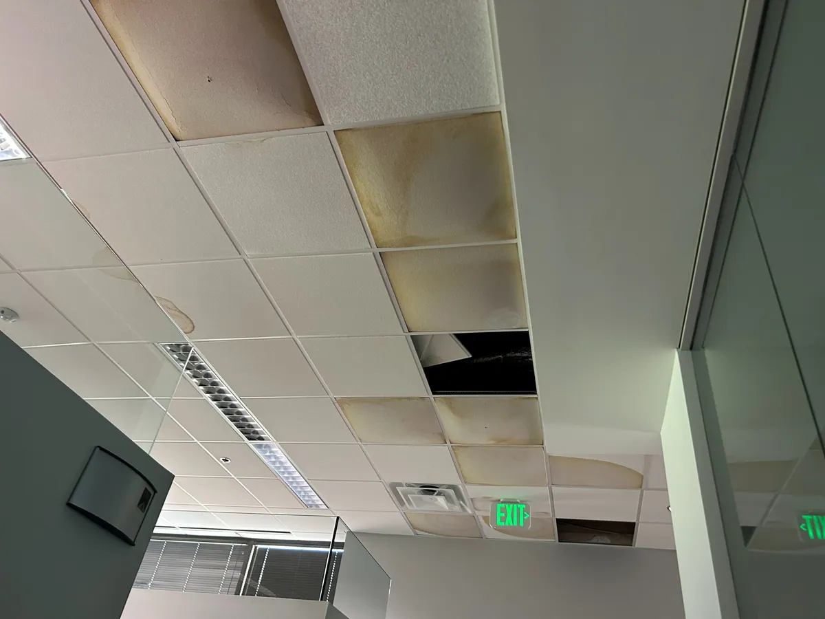 Water-stained ceiling tiles from a recurring leak