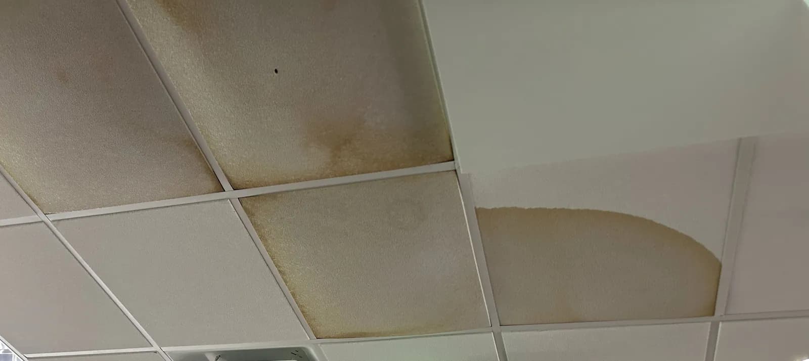Water-stained ceiling tiles documented on site