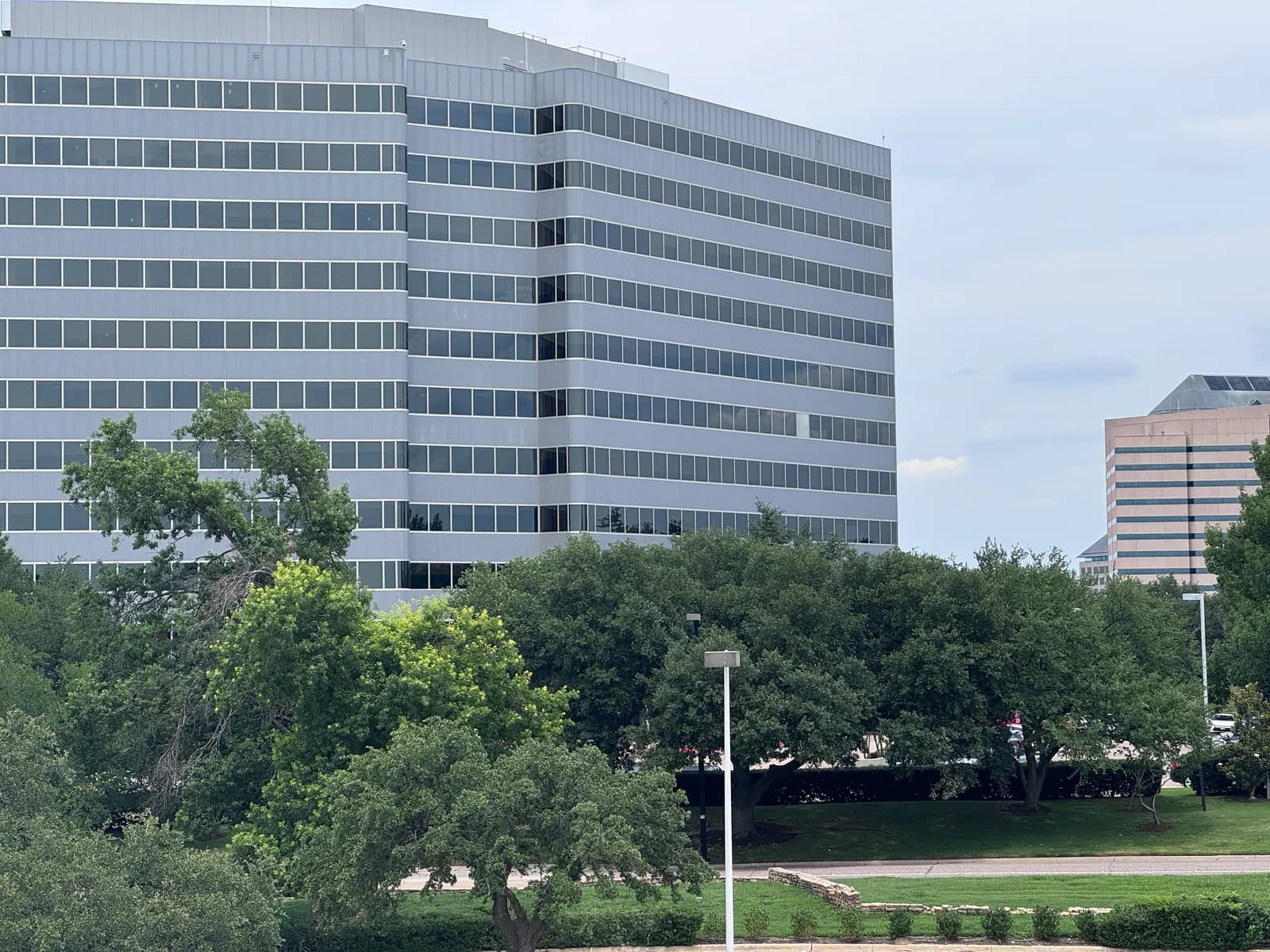 Office tower behind mature trees in Dallas–Fort Worth