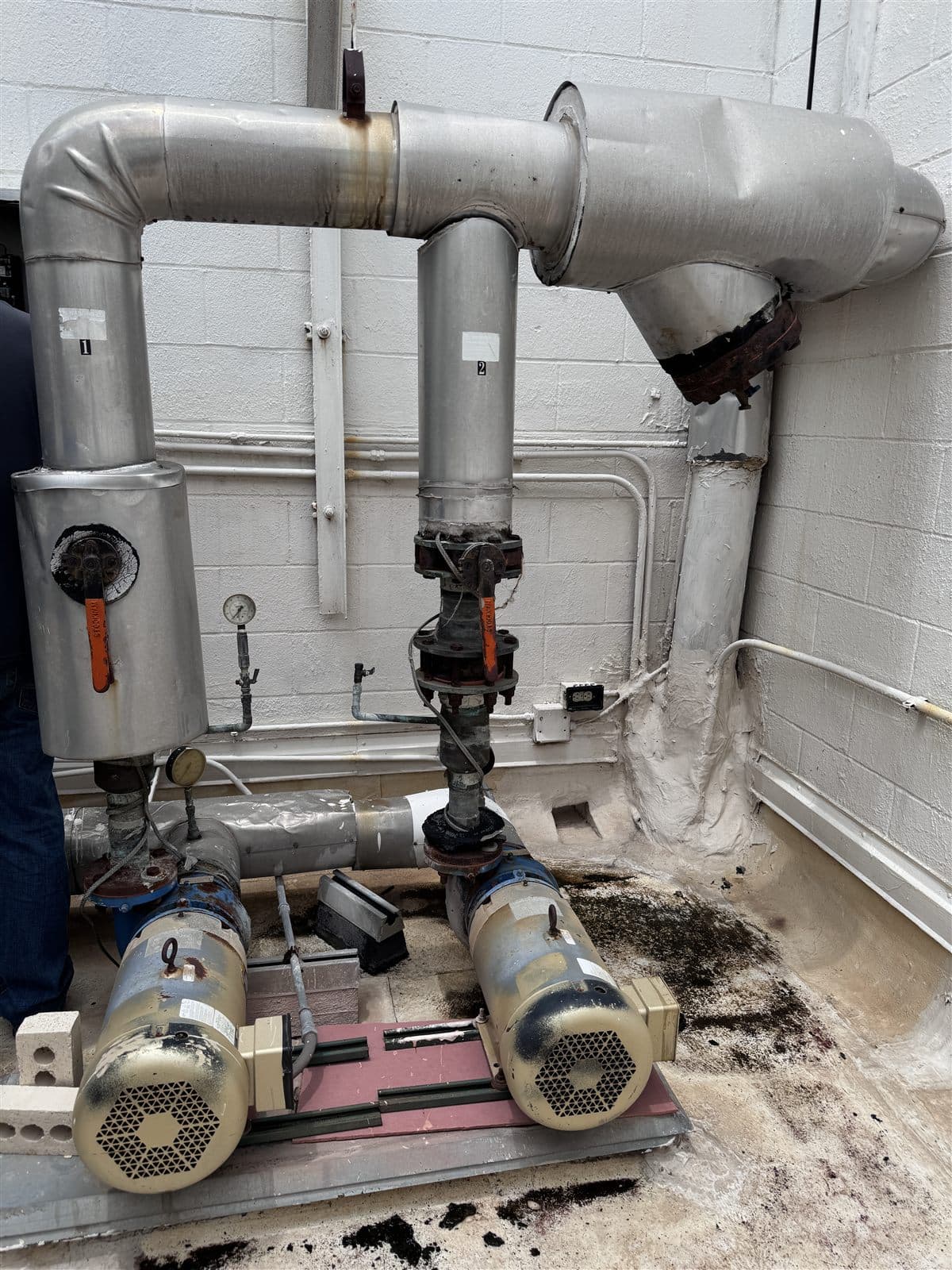 Central plant pumps and piping documented during a facility assessment